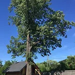 Gniazdko Pod Lipa