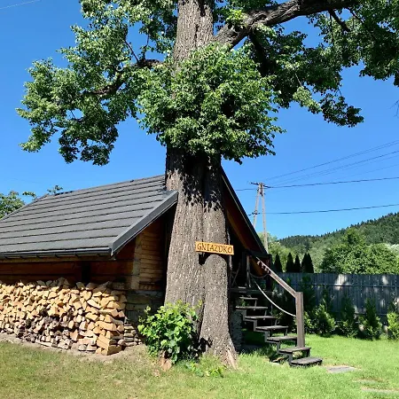 Apartment Gniazdko Pod Lipa