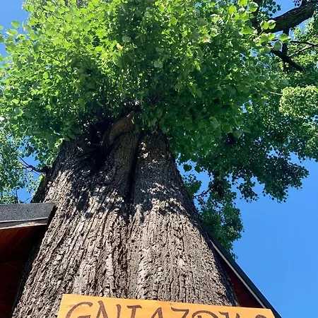 Appartamento Gniazdko Pod Lipa