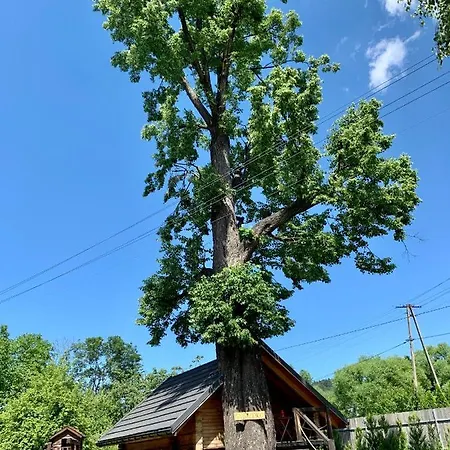 Appartamento Gniazdko Pod Lipa *