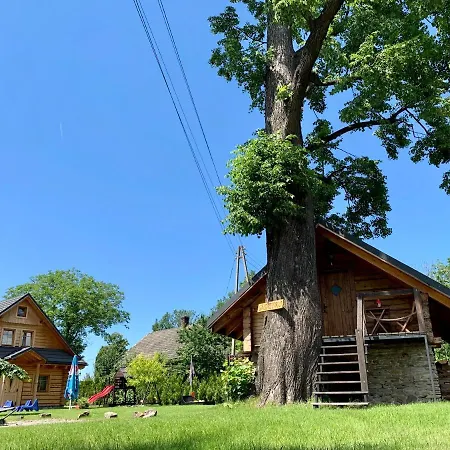 Apartamento Gniazdko Pod Lipa *