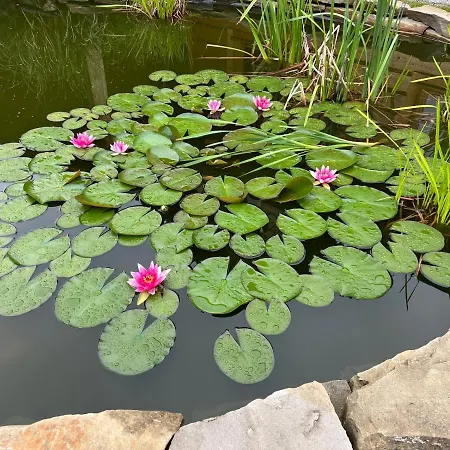 Gniazdko Pod Lipa * Andrychów