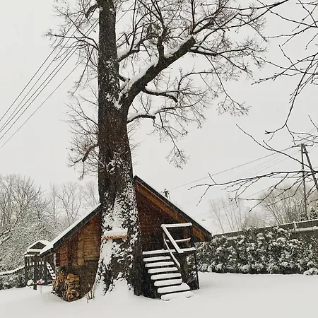 Gniazdko Pod Lipa Appartamento