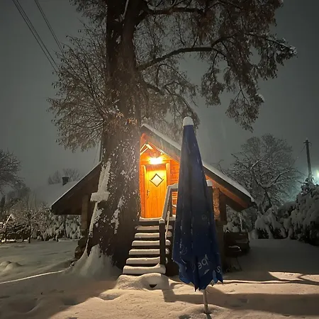 Apartment Gniazdko Pod Lipa Andrychów