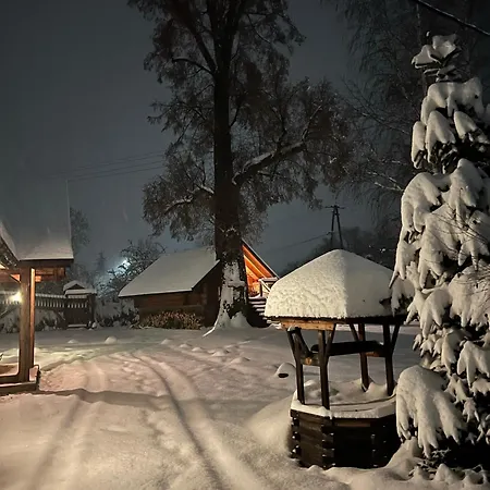 Apartament Gniazdko Pod Lipą