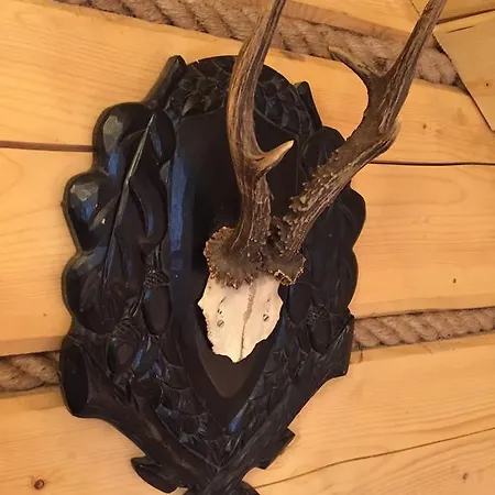 Gniazdko Pod Lipa Lägenhet