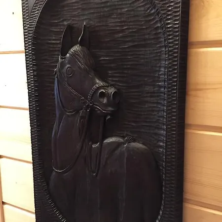 Gniazdko Pod Lipa Appartamento Andrychów