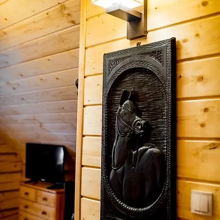 Gniazdko Pod Lipa Andrychów