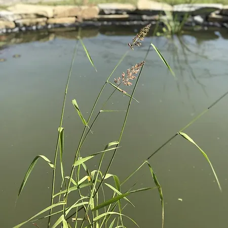 Gniazdko Pod Lipa Appartamento *