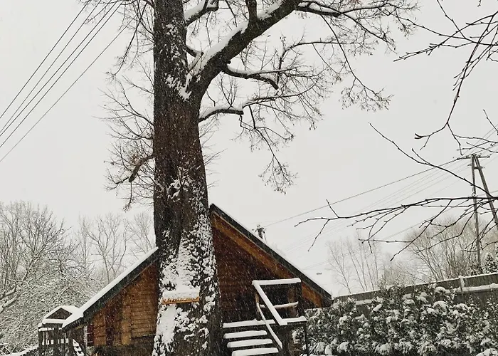 Gniazdko Pod Lipa Apartment