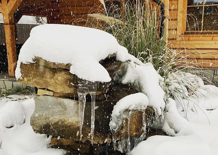 Apartment Gniazdko Pod Lipa