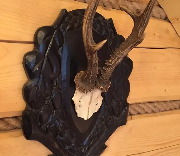 Gniazdko Pod Lipa דירה