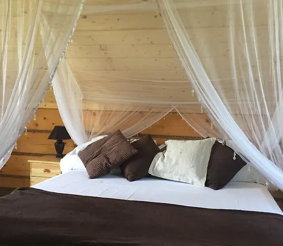 דירה Gniazdko Pod Lipa