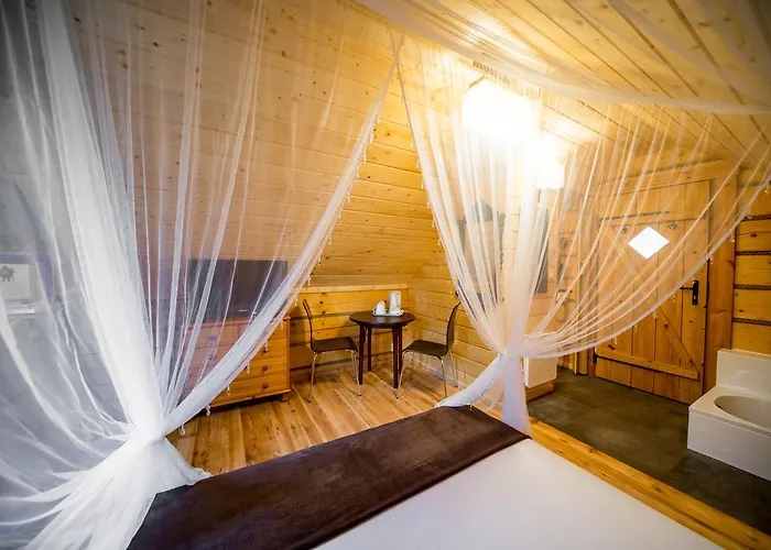 Gniazdko Pod Lipa Apartment *